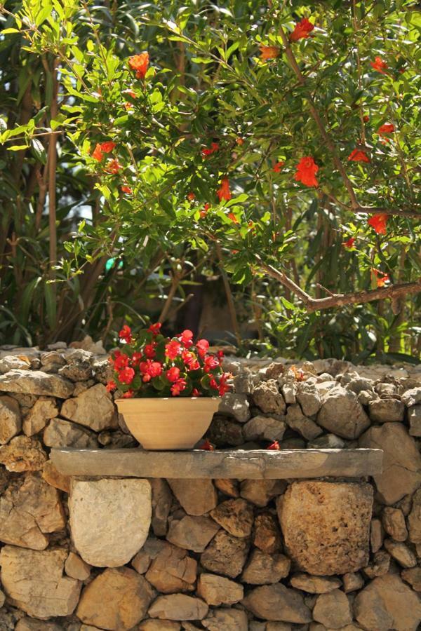 Apartments Nejasmic - Little House For Peaceful And Domestic Vacation Bol Extérieur photo