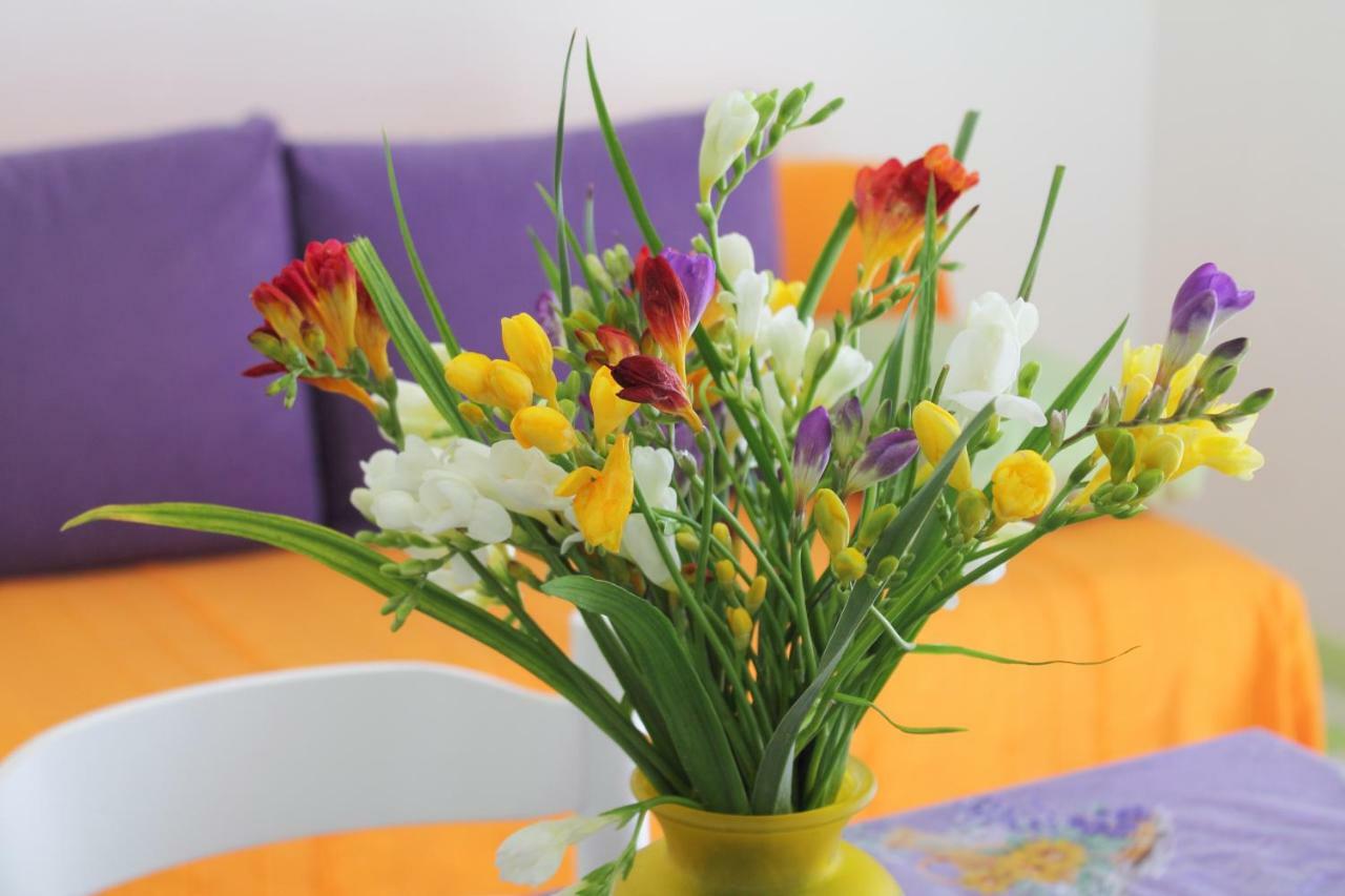 Apartments Nejasmic - Little House For Peaceful And Domestic Vacation Bol Extérieur photo