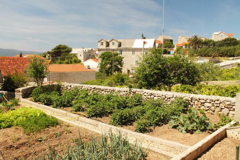 Apartments Nejasmic - Little House For Peaceful And Domestic Vacation Bol Extérieur photo